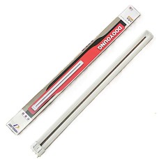 Солонгос гэрлийн запас